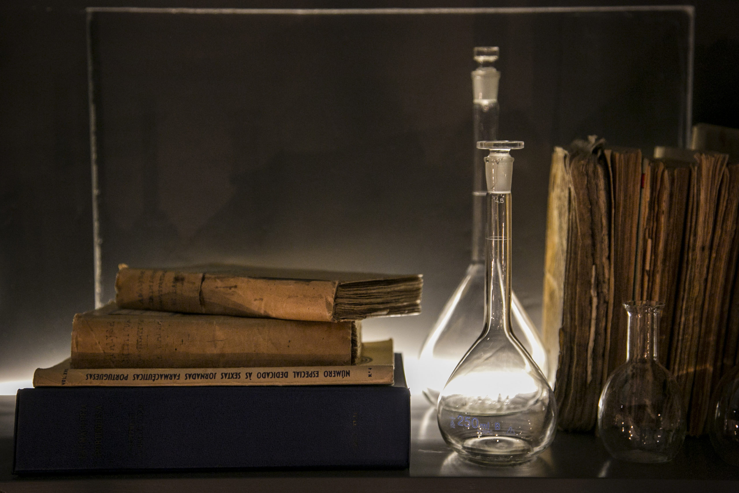 home-staging-factory_valeriana-exclusive-guesthouse_107-scaled